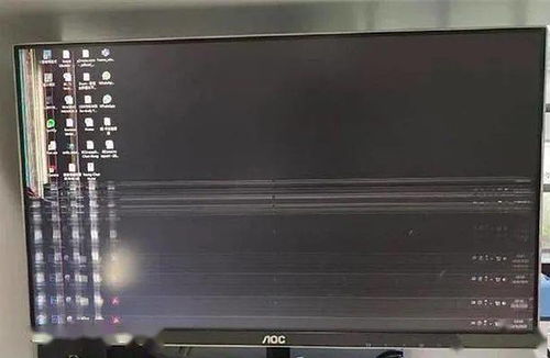 紙枷鎖的幽默懲戒，誰(shuí)家的貓像你一樣